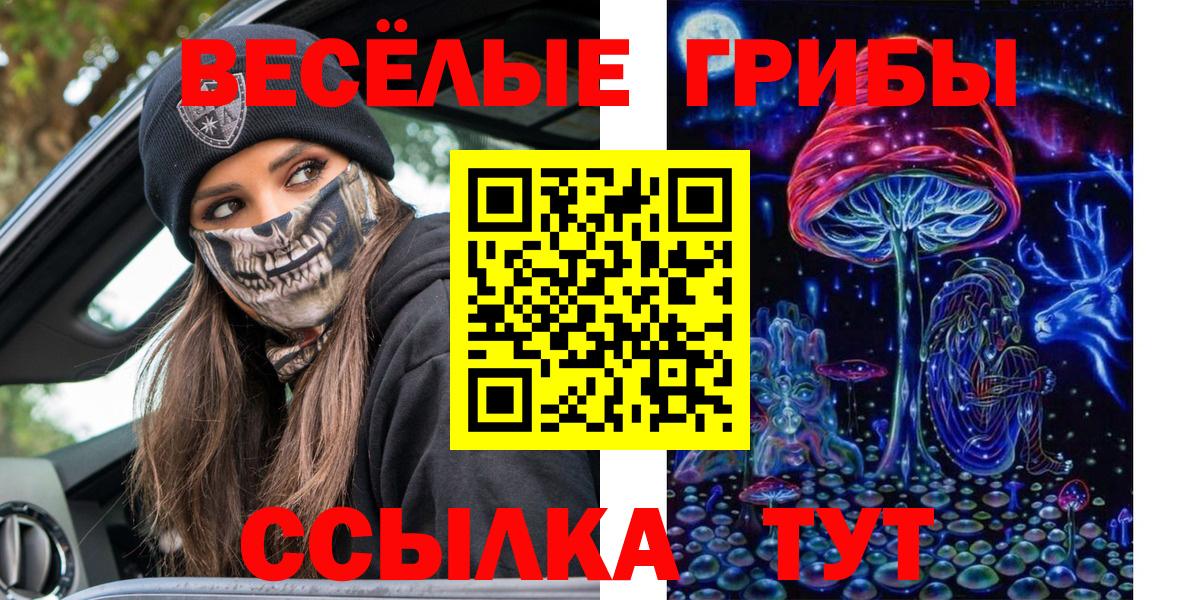 Галлюциногенные грибы мухоморы  Вход с VPN  Евпатория 